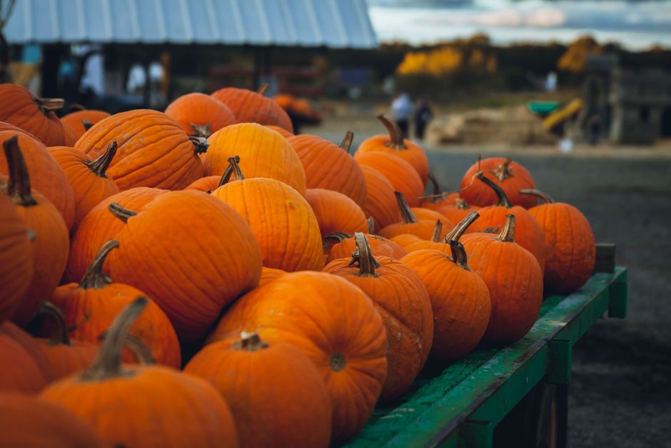 Pumpkin Traditions for Halloween Decorating Ideas