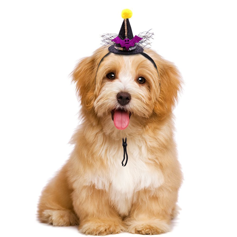 Mini Halloween Witch Hats & Hair Accessories for Cats and Small Dogs