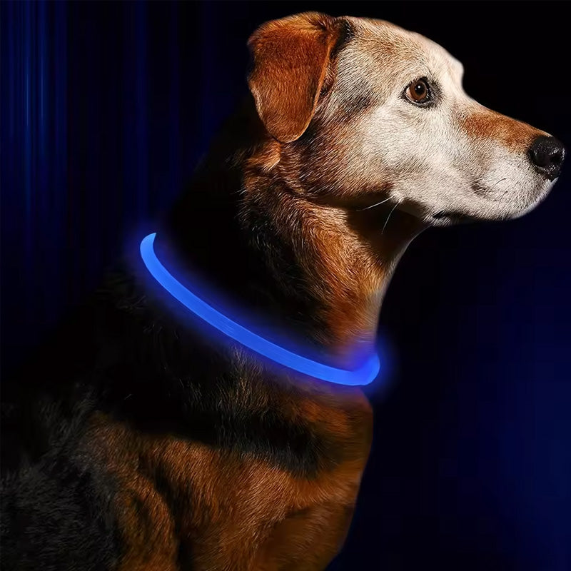 LED Fiber Optic Dog Collar from Mish Mash Market