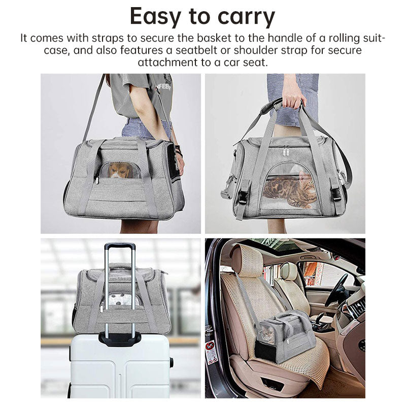 Foldable and Expandable Pet Carrier Bag from Mish Mash Market