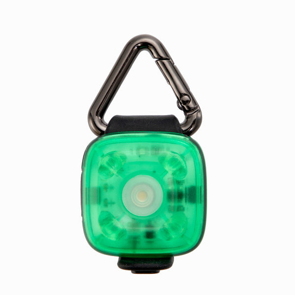 USB Rechargeable LED Pet Safety Light Clip from Mish Mash Market
