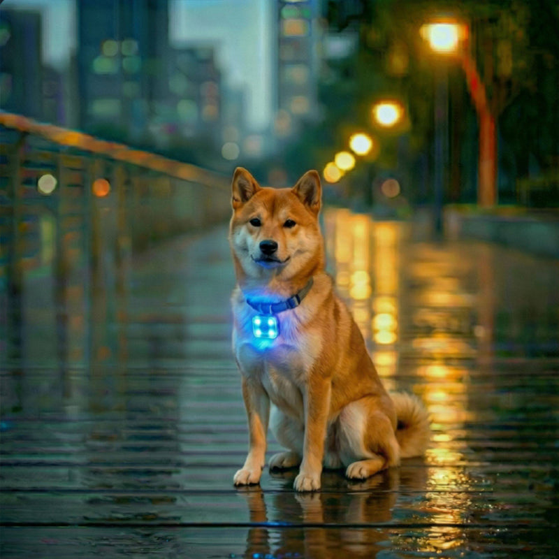 USB Rechargeable LED Pet Safety Light Clip from Mish Mash Market