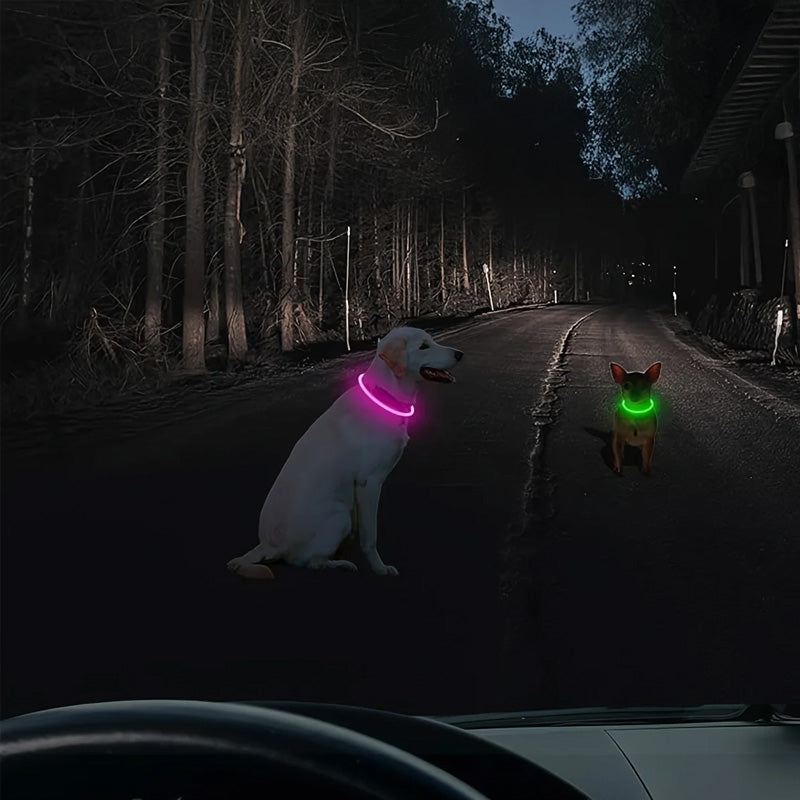 LED Fiber Optic Dog Collar from Mish Mash Market