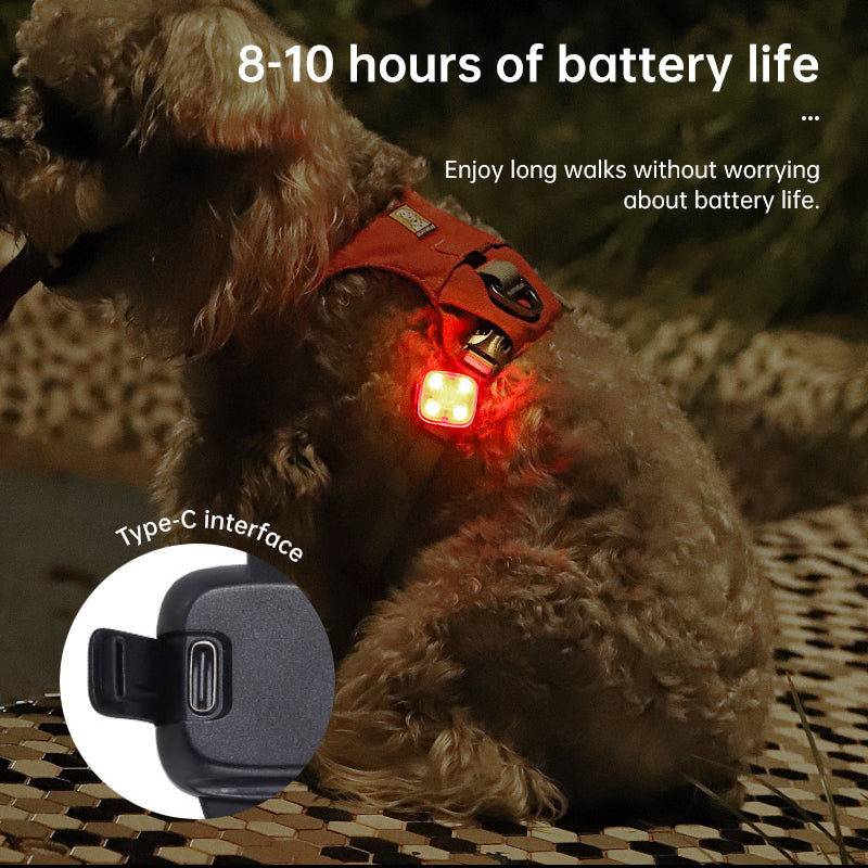 USB Rechargeable LED Pet Safety Light Clip from Mish Mash Market
