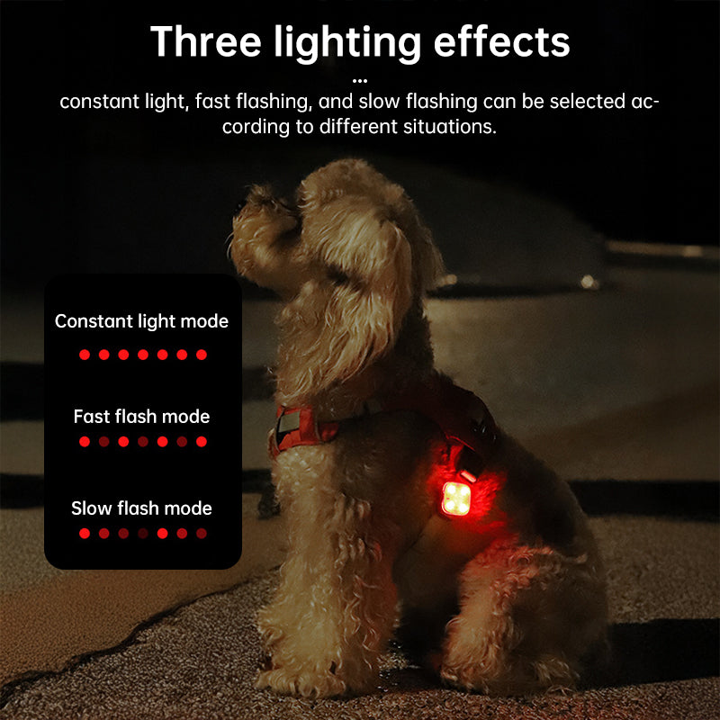 USB Rechargeable LED Pet Safety Light Clip from Mish Mash Market